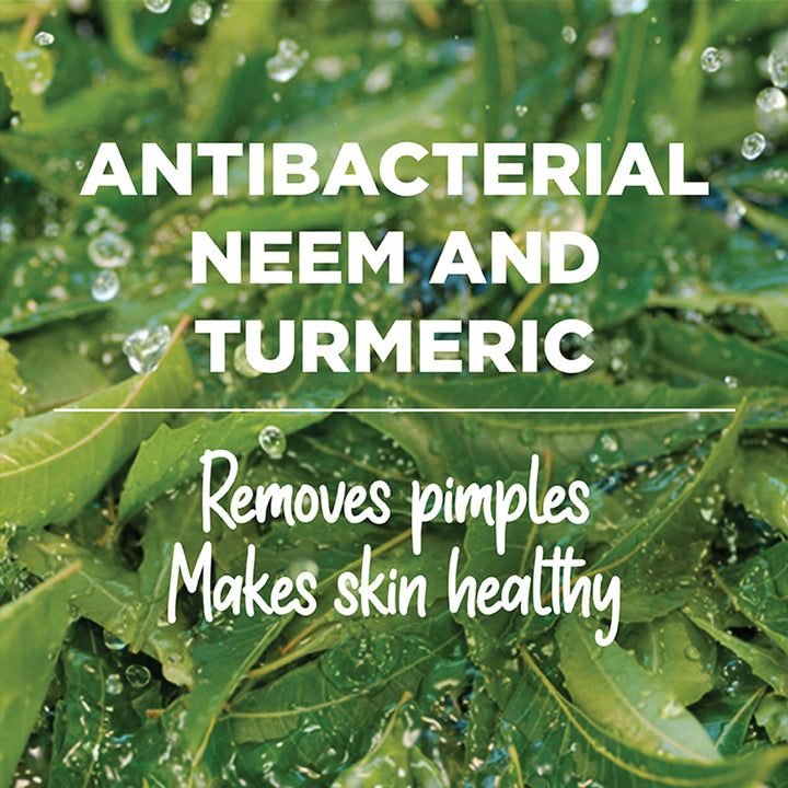 Purifying Neem Face Wash 15ml